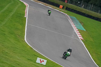 Lower Group Green Bikes
